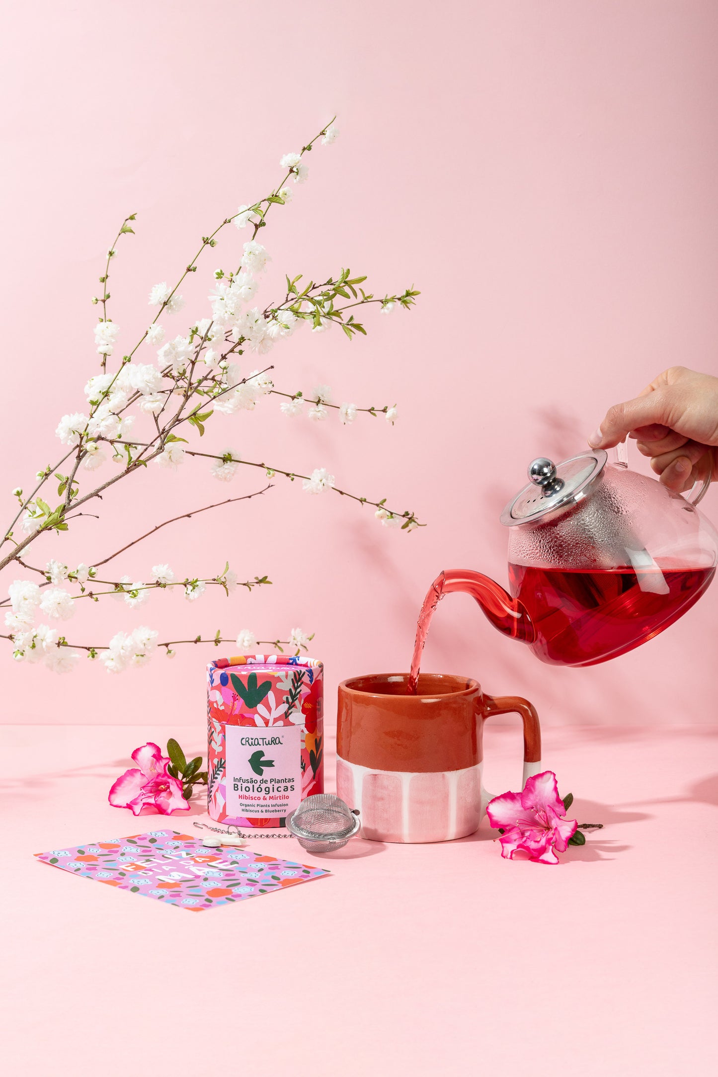 Box dia da Mãe- Garden in a Cup